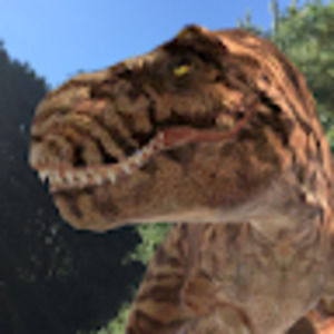 Meet your Posher, Heidi